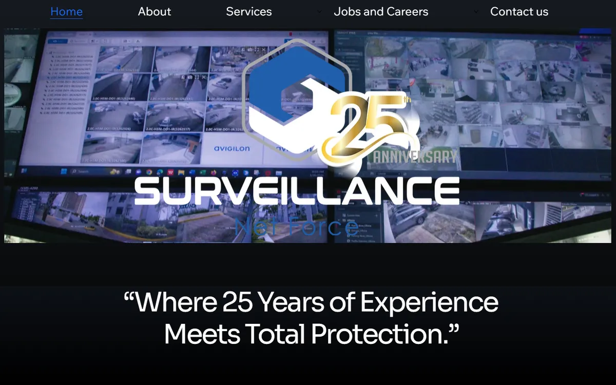 Página web de Surveillance Net Force